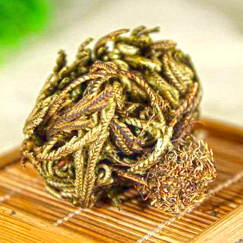 Juan Bai (Spikemoss) as TCM ingredient