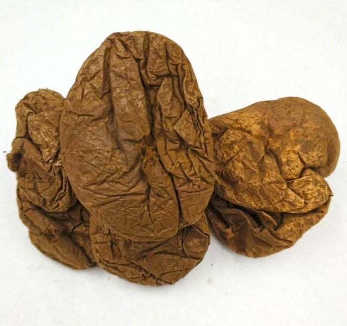 Ma Bo (Puffball) as TCM ingredient