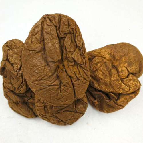 Ma Bo (Puffball) as TCM ingredient