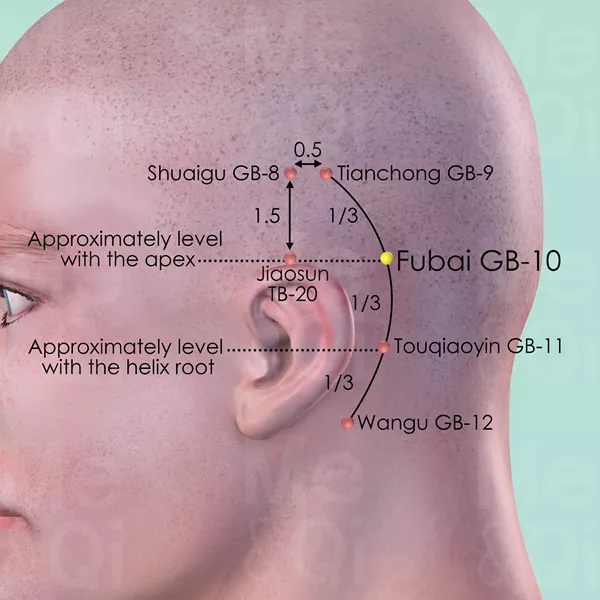 Fubai GB-10 - Skin view - Acupuncture point on Gall Bladder Channel