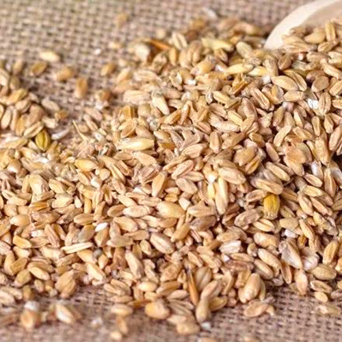 Fu Xiao Mai (Light wheats) as TCM ingredient