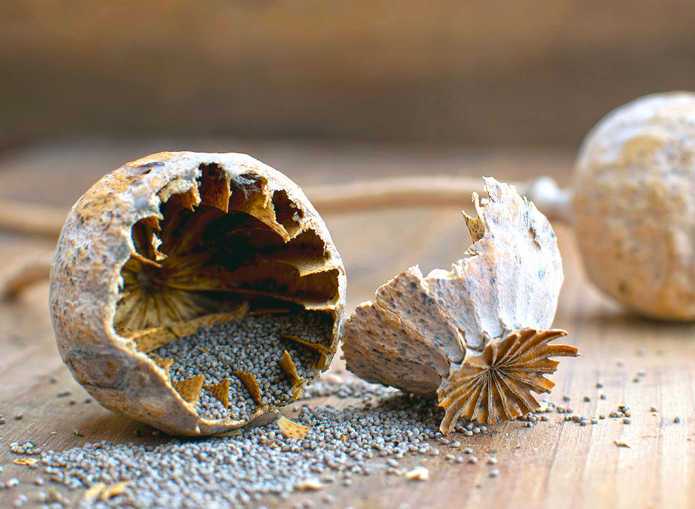 Ying Su Ke (Poppy capsules) as TCM ingredient