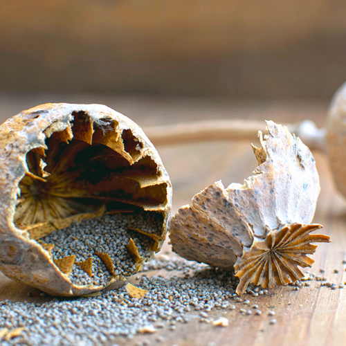 Ying Su Ke (Poppy capsules) as TCM ingredient