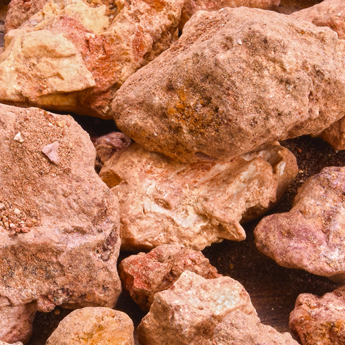 Chi Shi Zhi (Red Halloysite) plant