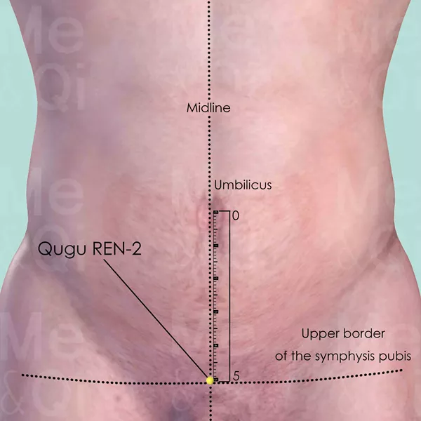 Qugu REN-2 - Skin view - Acupuncture point on Directing Vessel