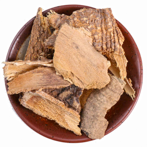 Chun Pi (Ailanthus barks) as TCM ingredient