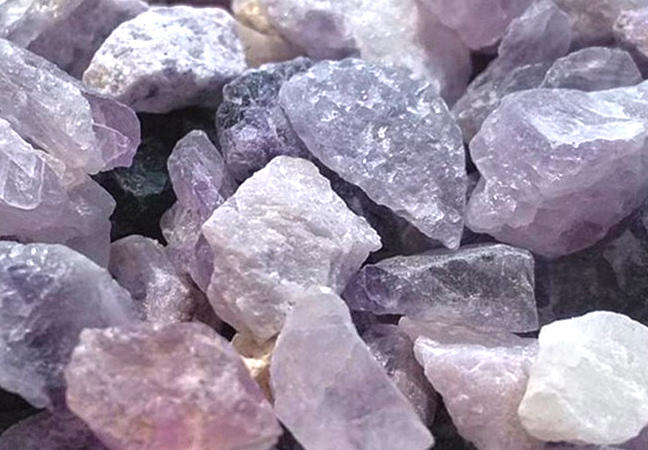 Zi Shi Ying (Fluorite) plant