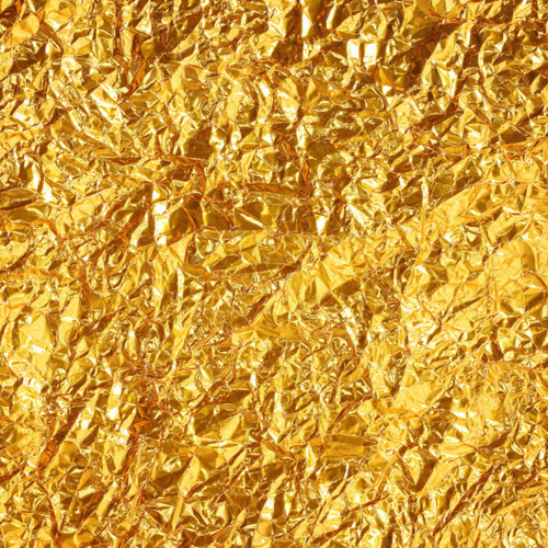 Jin Bo (Gold leaves) plant