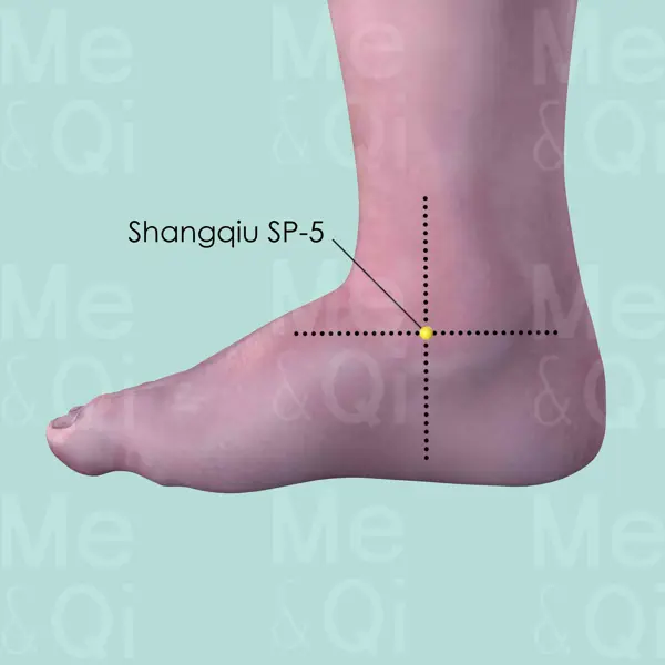Shangqiu SP-5 location