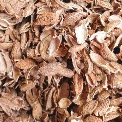 Sha Ren Ke (Amomum fruit skins) as TCM ingredient