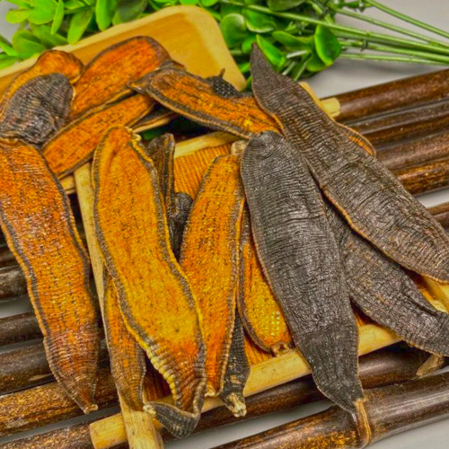 Shui Zhi (Leeches) as TCM ingredient