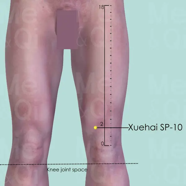 Xuehai SP-10 location