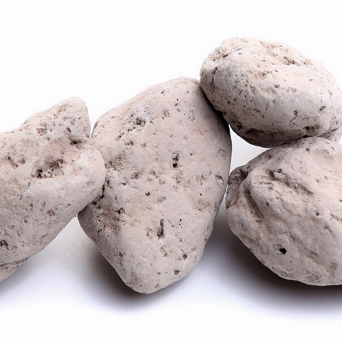 Fu Hai Shi (Costazia skeletons) plant