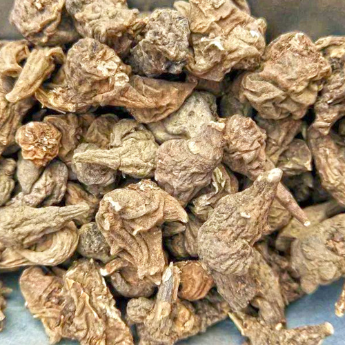 Zhi Cao Wu (Prepared Kusnezoffii aconite) as TCM ingredient