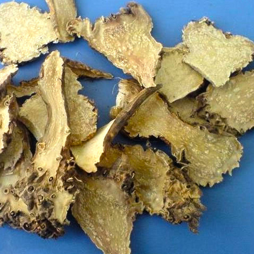 She Gan (Blackberry Lily rhizomes) as TCM ingredient