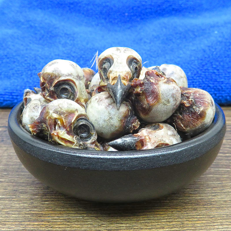 Que Nao (Sparrow brain) as TCM ingredient
