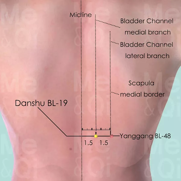 Danshu BL-19 - Skin view - Acupuncture point on Bladder Channel