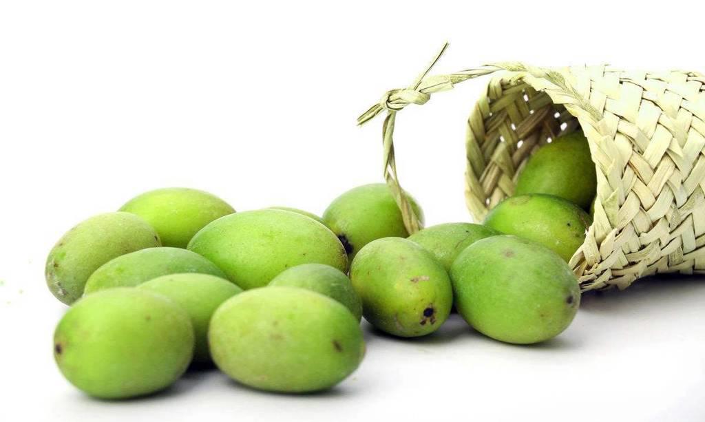 Qing Guo (Chinese white olives) plant