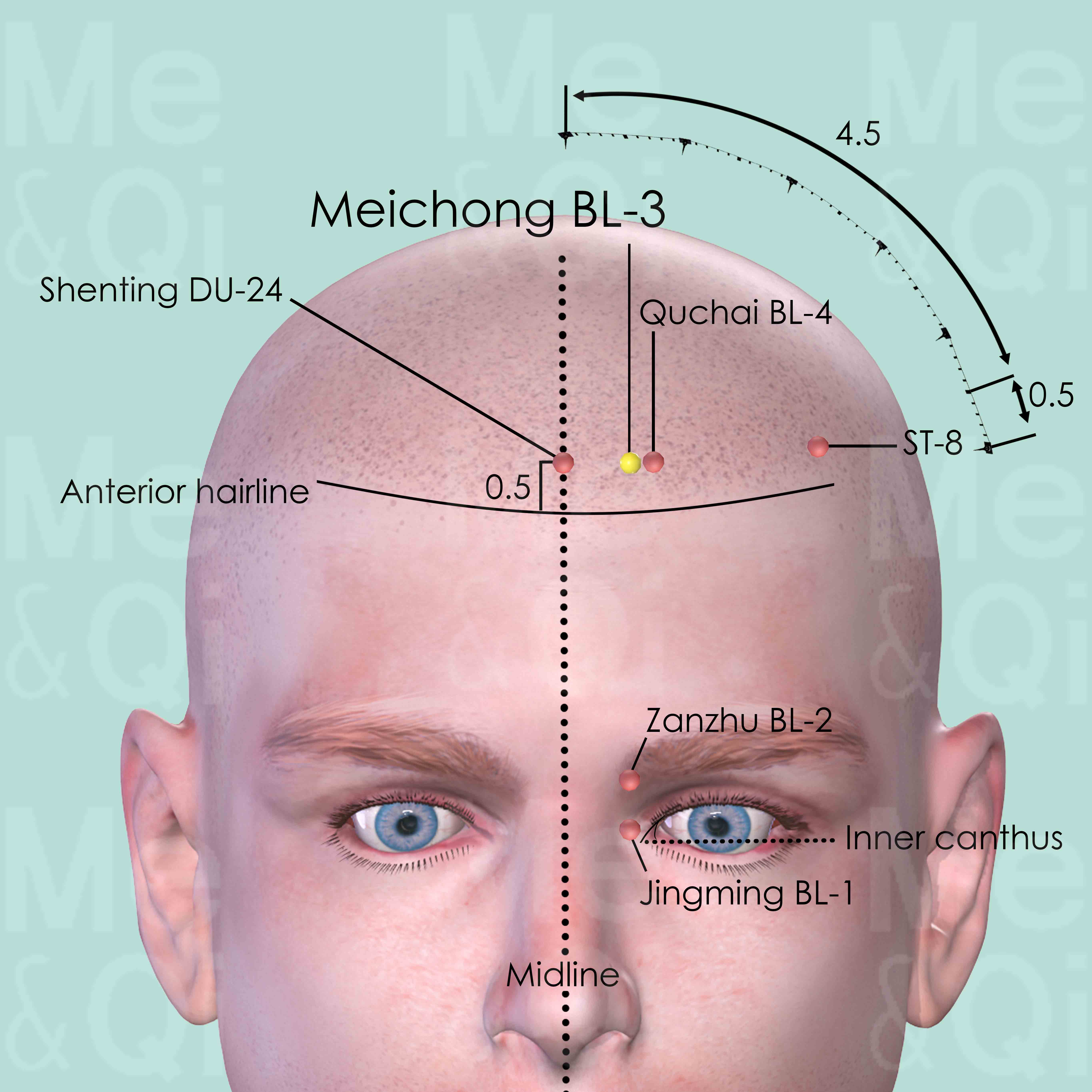 Meichong BL-3