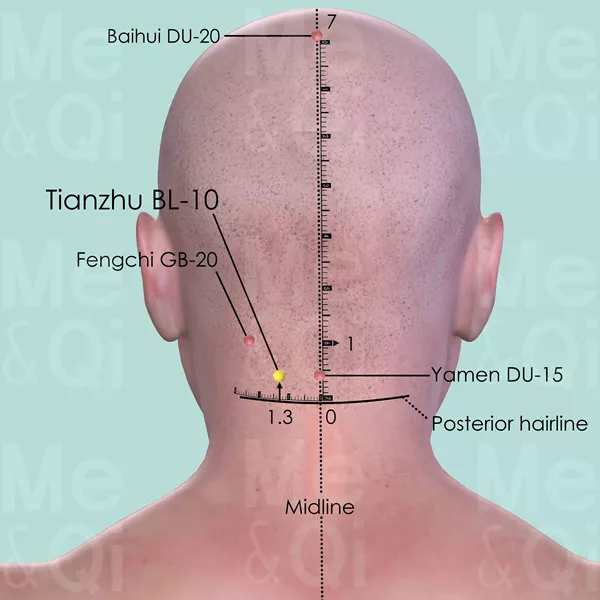 Tianzhu BL-10 - Skin view - Acupuncture point on Bladder Channel
