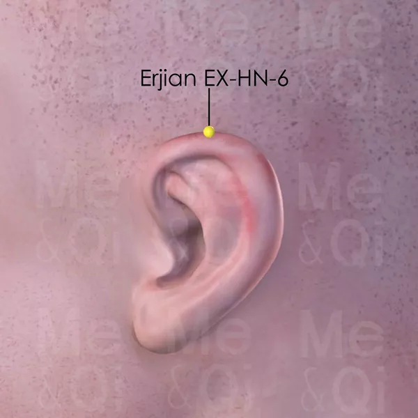 Erjian EX-HN-6 - Skin view - Acupuncture point on Extra Points: Head and Neck (EX-HN)