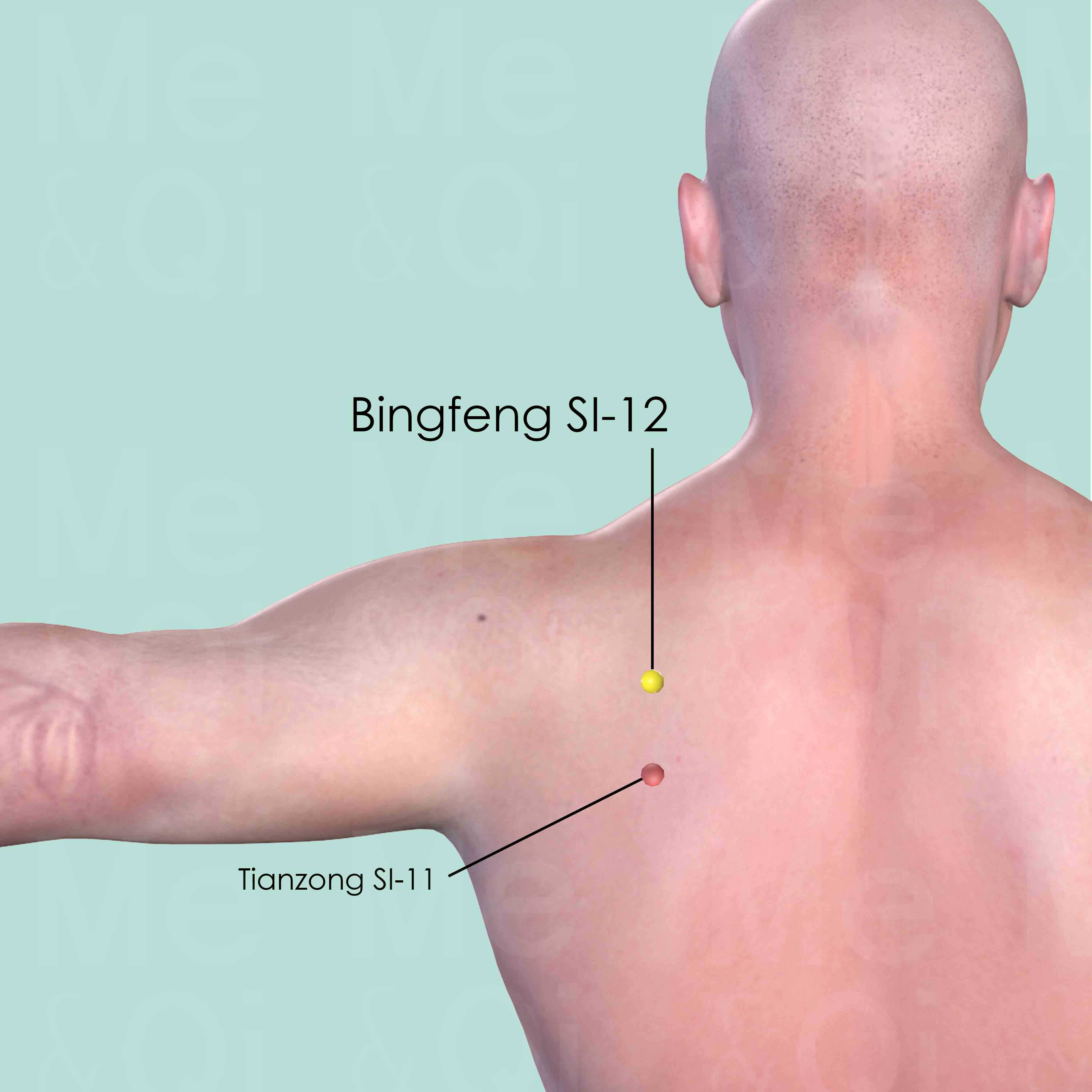 Bingfeng SI-12