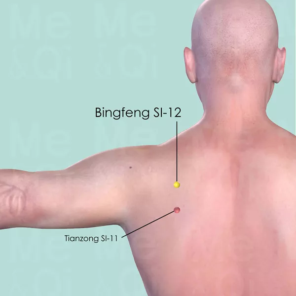 Bingfeng SI-12 - Skin view - Acupuncture point on Small Intestine Channel