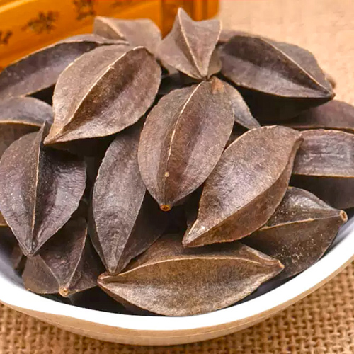 Shi Jun Zi (Quisqualis fruits) as TCM ingredient