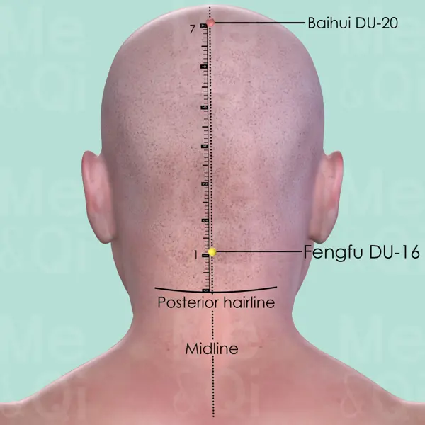 Fengfu DU-16 location