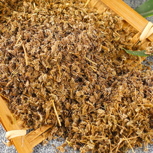 He Shi (Carpesium fruits) as TCM ingredient