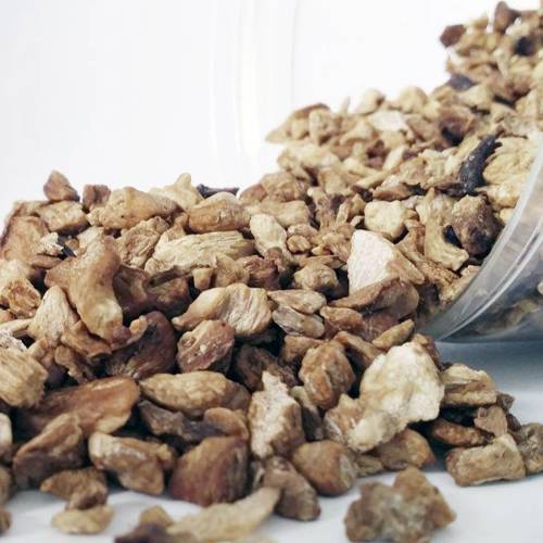 Ju Ju (Chicory) as TCM ingredient