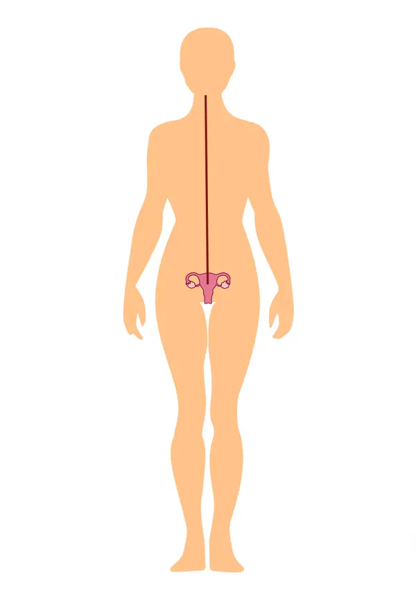 Directing Vessel pathway diagram