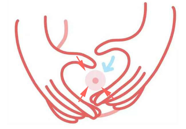 Breast massage against clogged milk ducts step 3