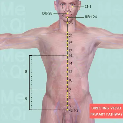 Directing Vessel Primary pathway pathway