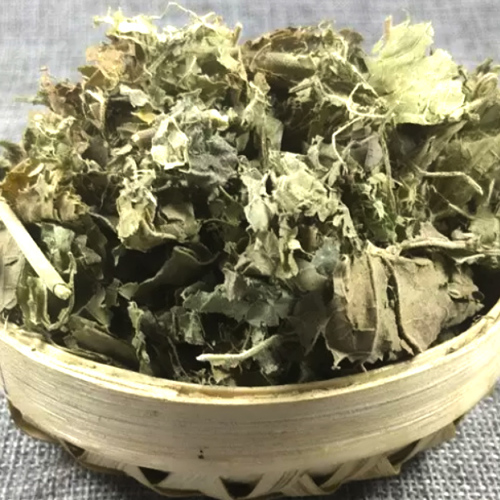 Fu Rong Ye (Hibiscus leaves) as TCM ingredient