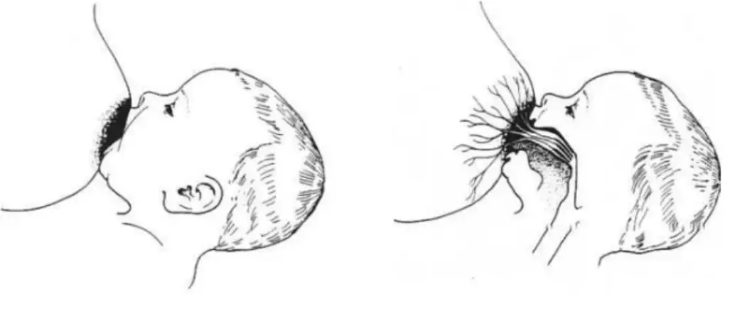 Proper baby latching