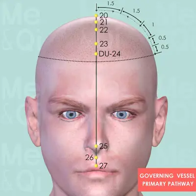 Governing  Vessel Primary pathway pathway