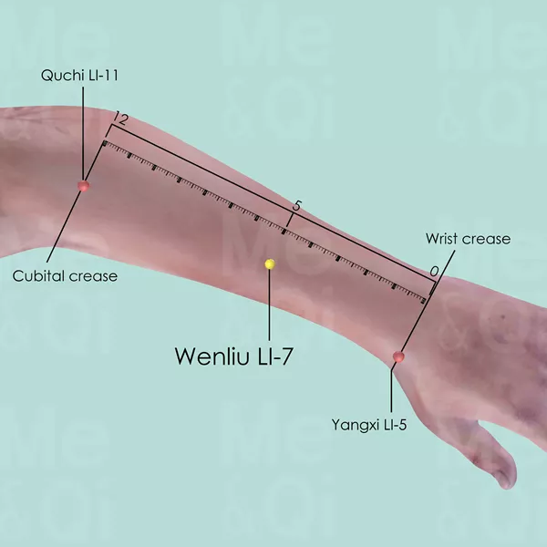 Wenliu LI-7 - Skin view - Acupuncture point on Large Intestine Channel
