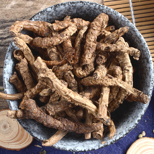 Hu Huang Lian (Picrorhiza rhizomes) as TCM ingredient