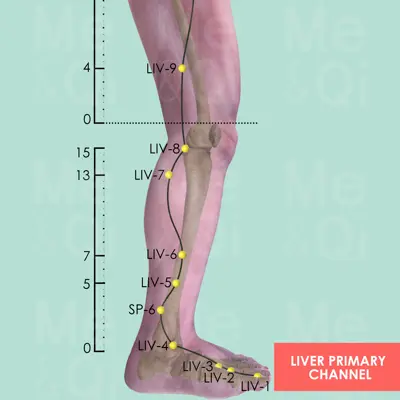 Liver Primary Channel pathway