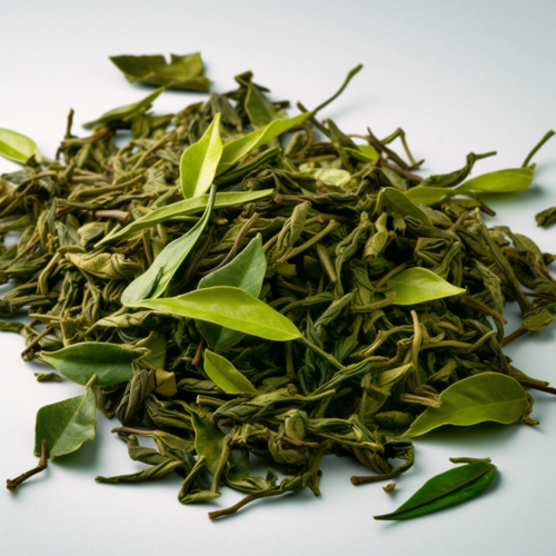 Lu Cha (Green tea) plant