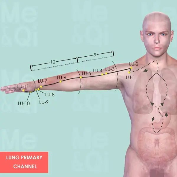 Lung Meridian pathway diagram