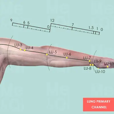 Lung Primary Channel pathway