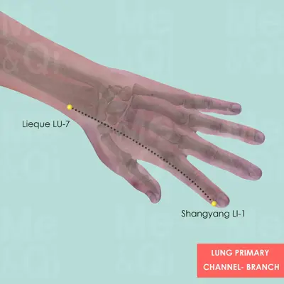 Lung Primary Channel pathway
