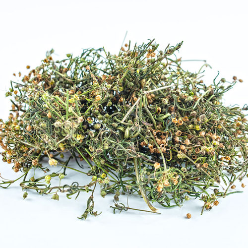 Bai Hua She She Cao (Oldenlandia) as TCM ingredient