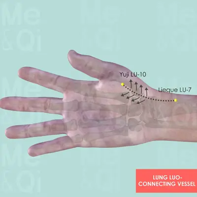 Lung Luo-Connecting Vessel System pathway