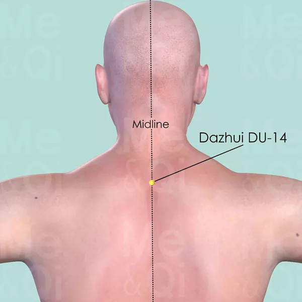Dazhui DU-14 - Skin view - Acupuncture point on Governing Vessel