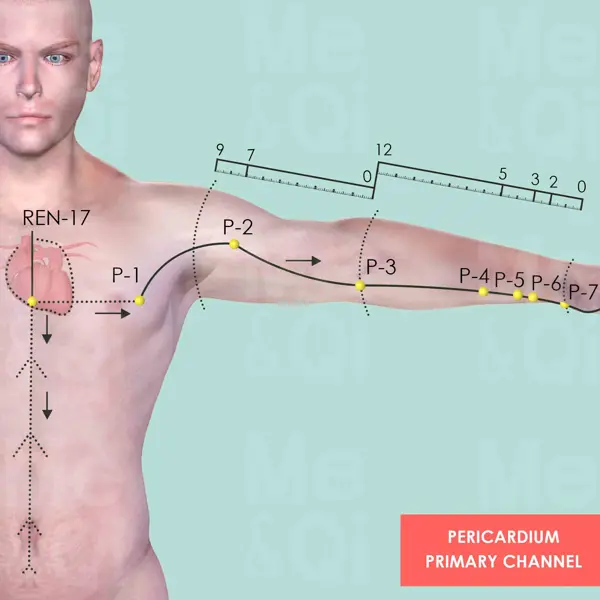 Pericardium Meridian pathway diagram