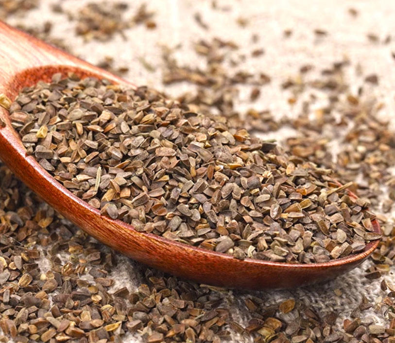 Chong Wei Zi (Motherwort fruits) as TCM ingredient