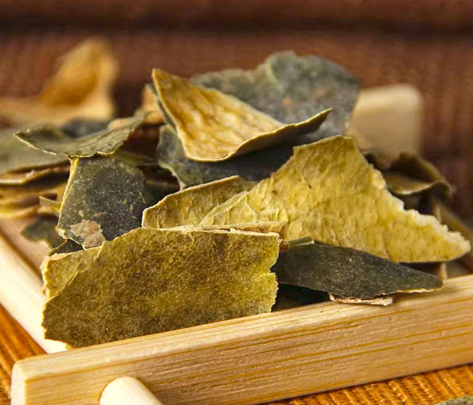 Dong Gua Pi (Wax gourd peels) as TCM ingredient